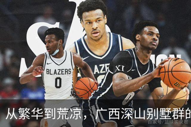 从繁华到荒凉，广西深山别墅群的传奇故事